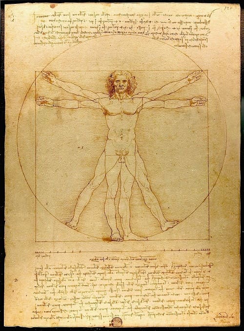 The Vitruvian Man Explained: How Da Vinci Put Humanity at the Center of the Universe
