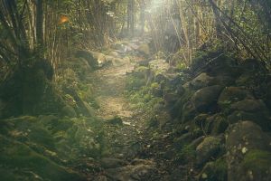 Where Did the Hata Clan Come From? Foreign Roots, Ancient Japan, and the Mystery Behind Inari Worship