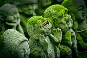 Corolla Sanso in Hachinohe: The Truth Behind Aomori’s Haunted Mountain Ruins