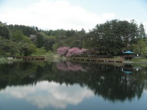 7 Notorious Haunted Spots in Yamanashi: Ghost Stories, Legends, and Dangerous Rumors