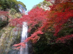 24 Seriously Creepy Haunted Places in Osaka: Local Legends, Ruins, and Urban Ghost Stories
