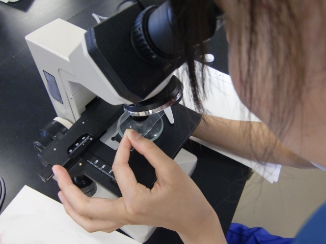 The Immortal Cells of Henrietta Lacks: HeLa, Eternal Life, and the Horror of Never Dying