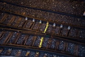 The Trolley Problem: Is It Ever Right to Sacrifice One Person to Save Five?