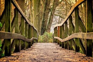 Yagiyama Bridge in Miyagi: A Haunted Bridge Known for Dark Rumors