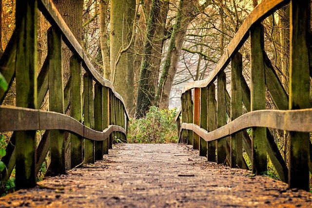 Yagiyama Bridge in Miyagi: A Haunted Bridge Known for Dark Rumors