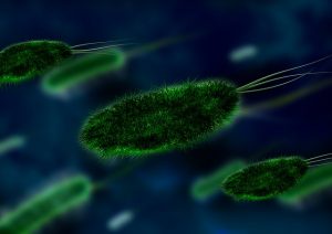 Japan Confirms Five Cases of India’s “Double Mutant” COVID Variant