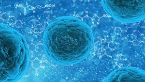 COVID-19 Variants in Japan: Will Vaccines Still Work?