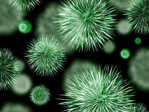 Pandemic Panic in Japan: Invisible Viruses, Super-Spreaders, and the Fear of Outbreaks