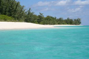 East Timor’s Dark History: Independence, Occupation, and Refugees