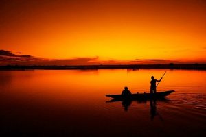 Ocean Omens: Mysterious Skin Disease in Senegal and Mass Marine Deaths in Kamchatka