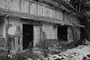 Take Settlement: The Abandoned Saitama Village Said to Have Inspired SIREN’s Hanyuda