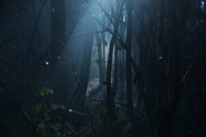 Is Inugami a Yokai, a Ghost, or an Onmyoji Curse? Japan’s Feared Dog Spirit Legend