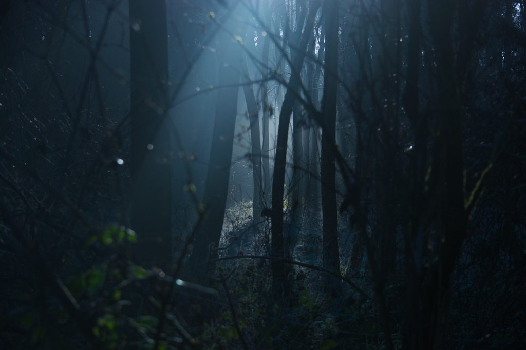 Is Inugami a Yokai, a Ghost, or an Onmyoji Curse? Japan’s Feared Dog Spirit Legend