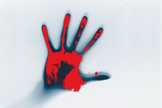 The Clairvoyance Incident Behind Ring: Chizuko Mifune and Japan’s Real-Life Psychic Scandal