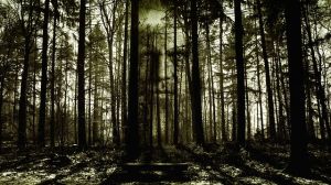 Ajari Forest in Takatsuki: Osaka’s Hidden Haunted Grove Behind an Inari Shrine