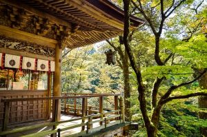 Mount Hiei’s Eternal Flame: The 1,200-Year Light Behind Japan’s “Never Let Your Guard Down”