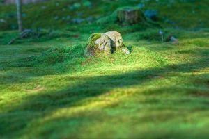 Segaki: Japan’s Buddhist Rite for Hungry Ghosts and River Spirits