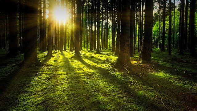 Zombie Road in Missouri: Shadow People and Haunted Railroad Legends