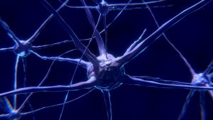 Canada’s Mysterious Brain Disease: A Fatal Illness With No Known Cause