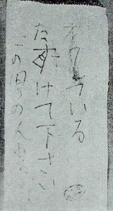 The Unsolved Nagaokakyo Warabi-Picking Murders: The Receipt Message Theory, Part 9