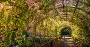 The Hagi Tunnel at Mukojima-Hyakkaen: Walking Through an Autumn Poetry Plant