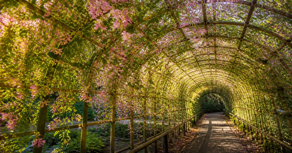 The Hagi Tunnel at Mukojima-Hyakkaen: Walking Through an Autumn Poetry Plant